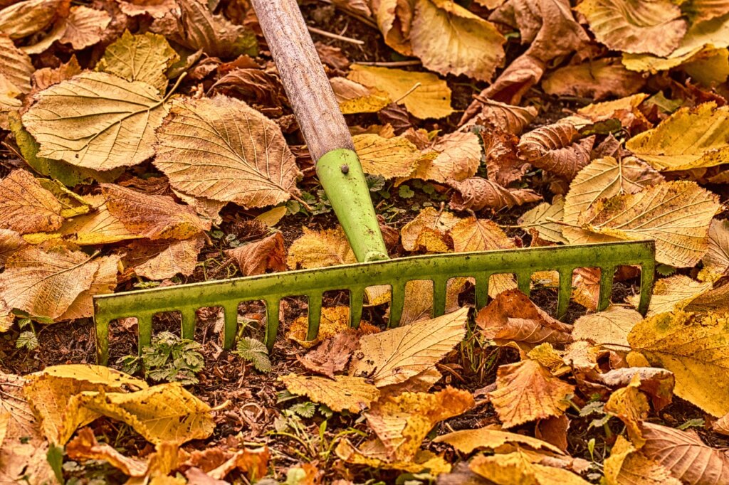 fall, gardening, computing-3802620.jpg